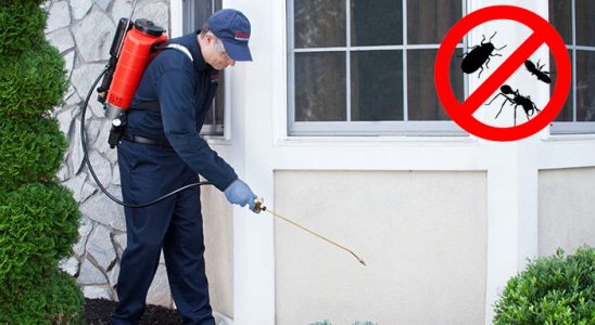 Çan Bit İlaçlama böcek ilaçlama ve haşere kontrolü — ilaclama-tr.com